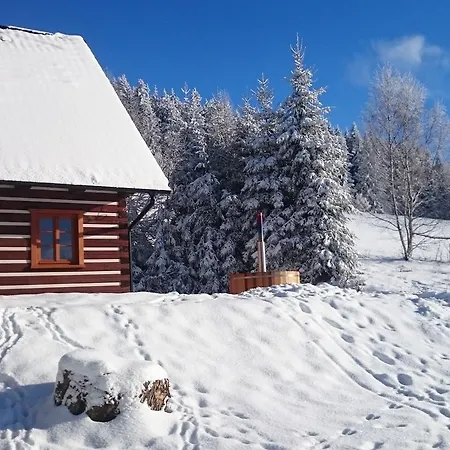 Roubenka Pod Lesem * Destne v Orlickych horach