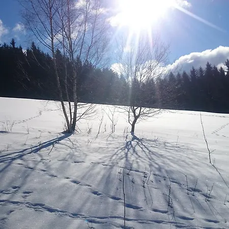Roubenka Pod Lesem * Destne v Orlickych horach