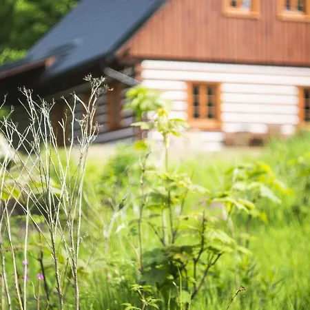 Chalet Roubenka Pod Lesem